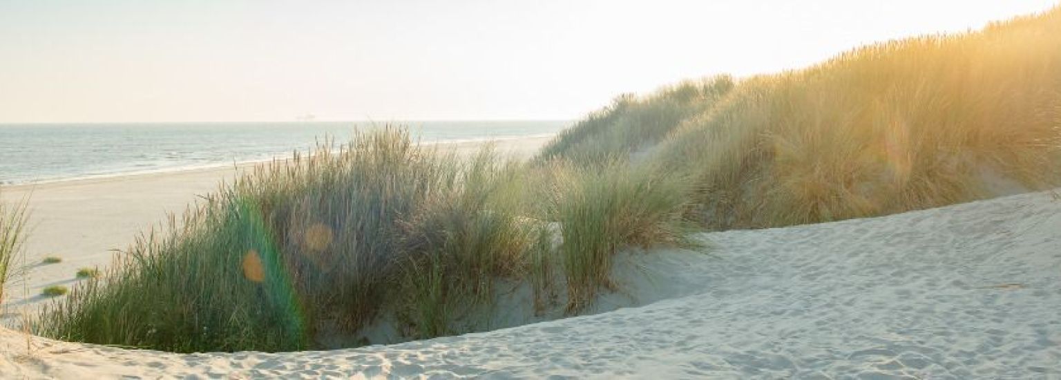 Veelgestelde vragen over het strand van Ameland - VVV Ameland