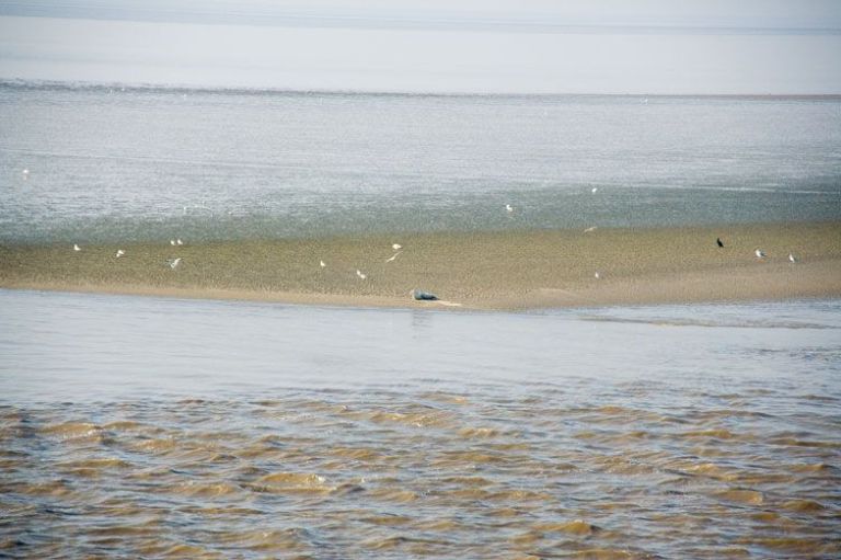 Waddeneiland Ameland