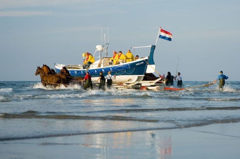 Actueel activiteitenprogramma - VVV Ameland