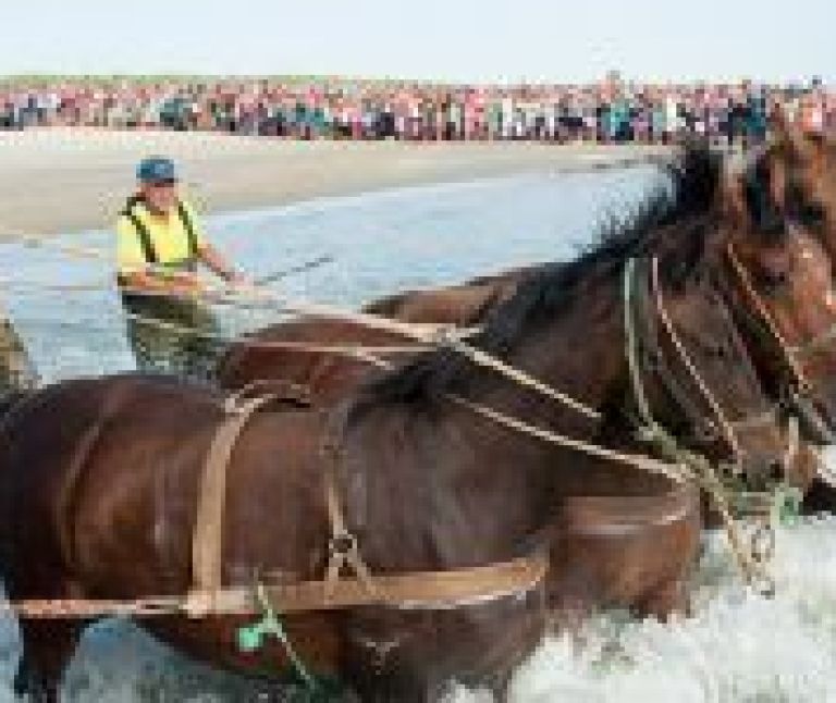 Demonstratie paardenreddingsboot