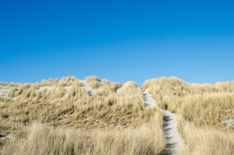 Ameland = Geheime duinpaadjes