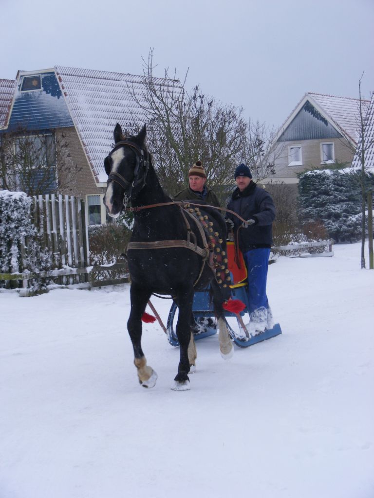 Arrensleerijden op Ameland - VVV Ameland