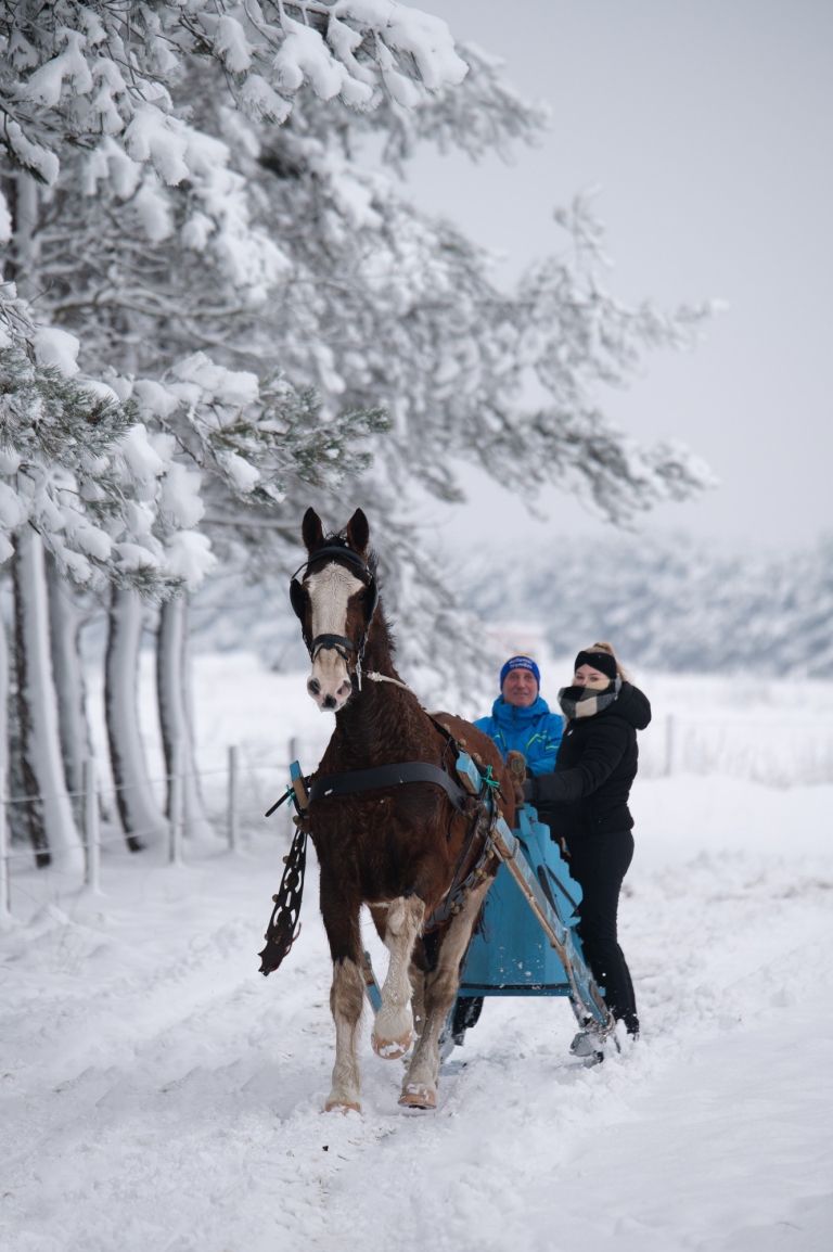 Arrensleerijden op Ameland - Foto: ClaudiaPhotography - VVV Ameland