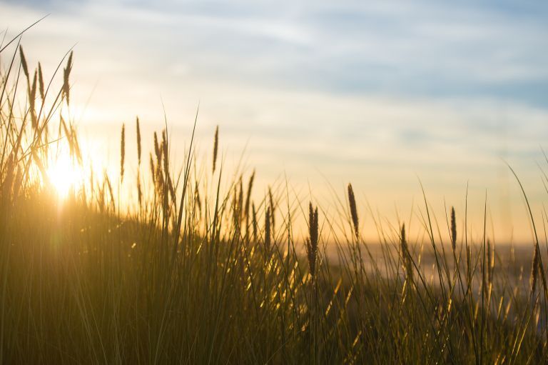 Lente op Ameland: jouw ultieme voorjaarsuitje - VVV Ameland