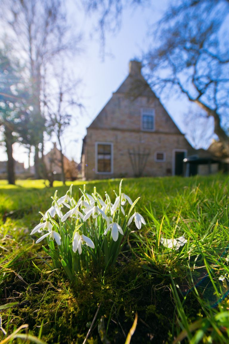 Lente op Ameland: jouw ultieme voorjaarsuitje - VVV Ameland