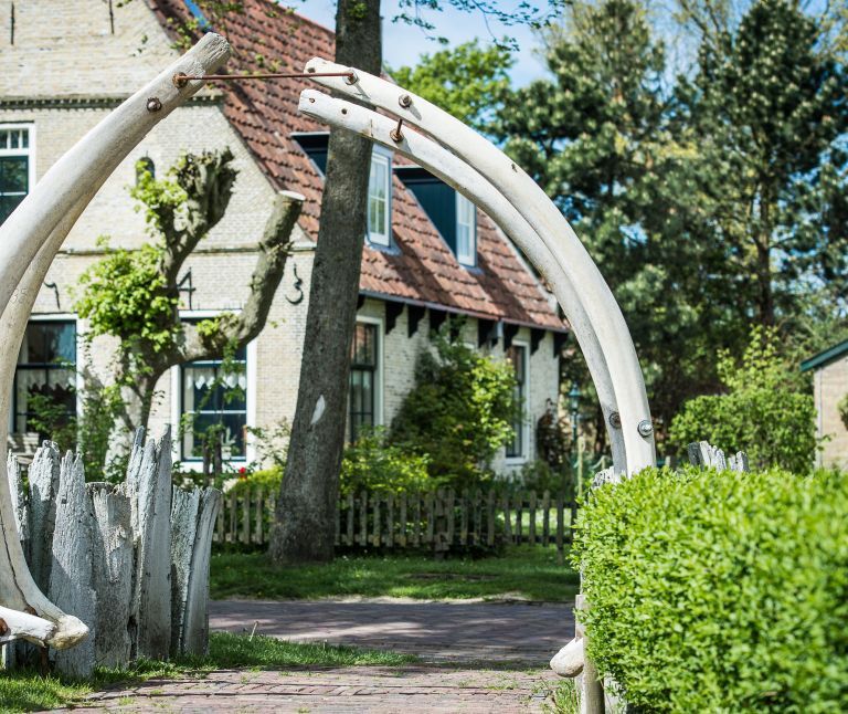 Arrangementen Ameland - VVV Ameland