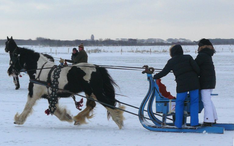 Arrensleerijden op Ameland - VVV Ameland