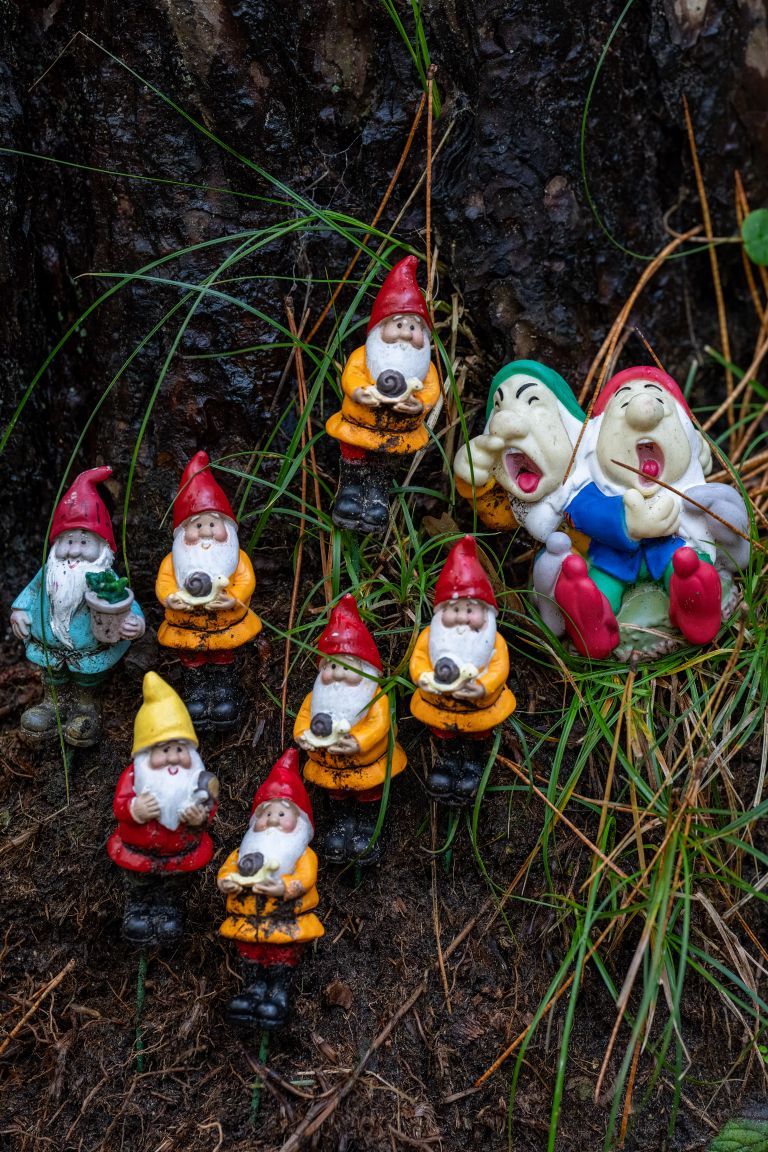 Tijd voor Avontuur? Tijd voor Ameland! - Kabouterbos Hollum - VVV Ameland