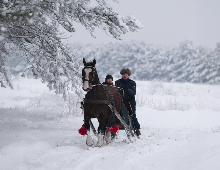 Arrensleerijden op Ameland - Foto: ClaudiaPhotography - VVV Ameland