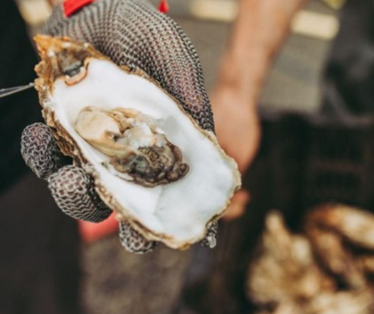 Culinaire Wadden Weken - VVV Ameland