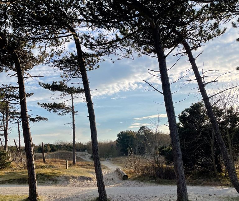 Fietsen op Ameland - VVV Ameland