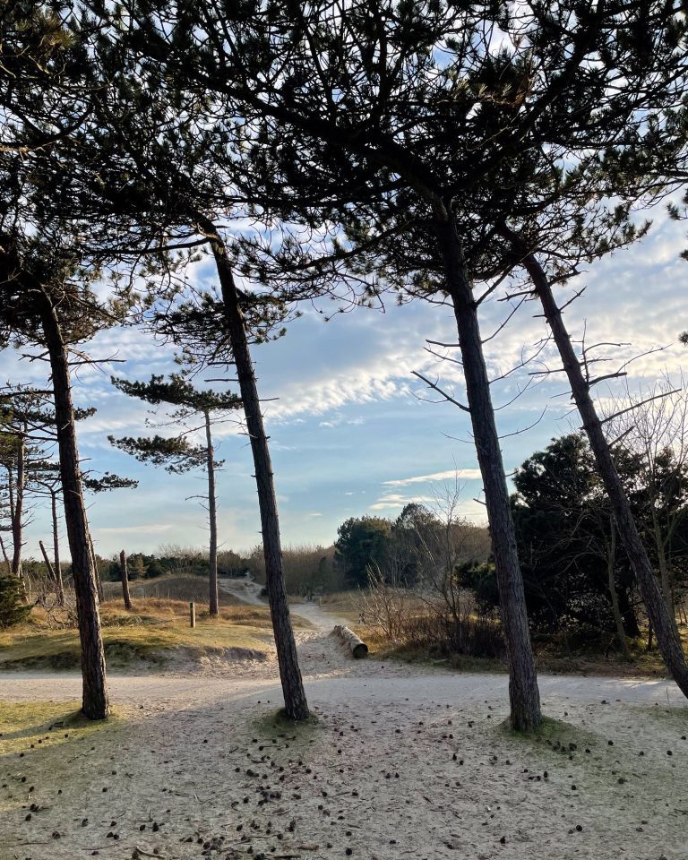 Tijd voor jezelf? Tijd voor Ameland! - VVV Ameland