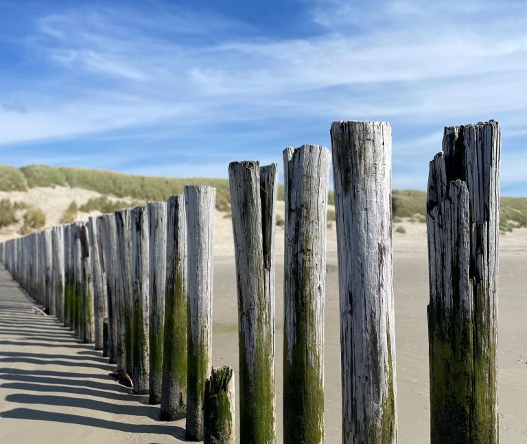 Wandelen op Ameland - VVV Ameland