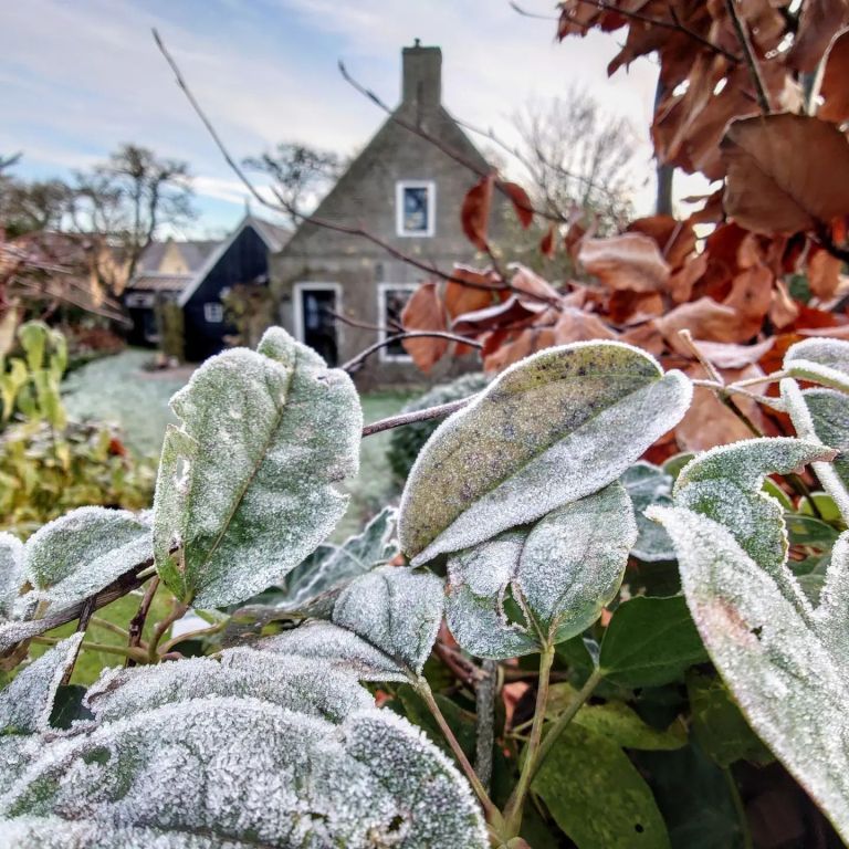 Ameland in de winter: rust, ruimte en gezelligheid - 7 tips  - VVV Ameland