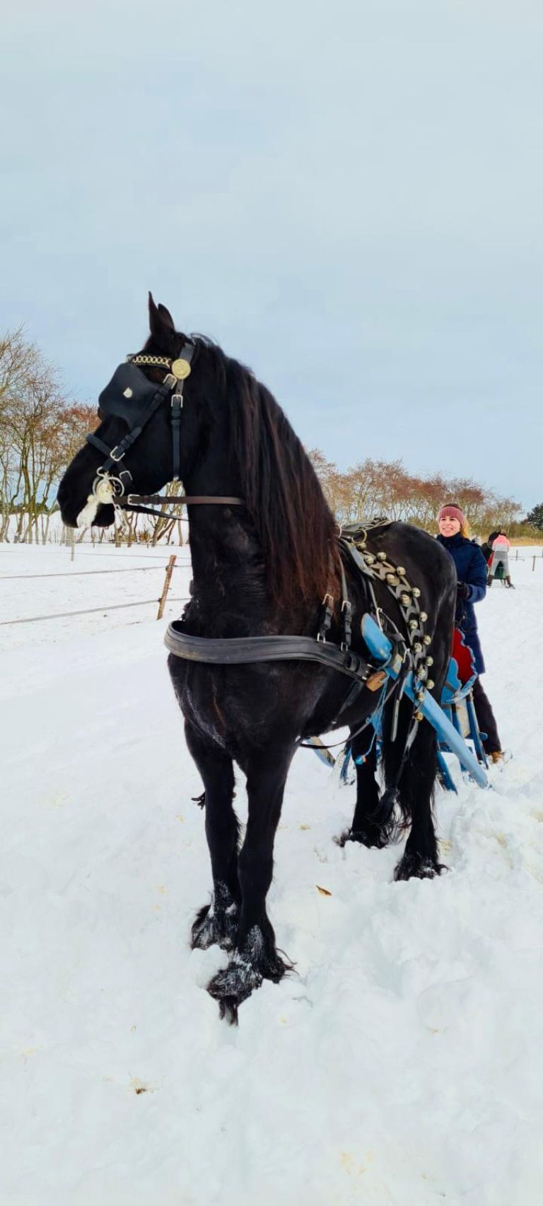 Arrensleerijden op Ameland - VVV Ameland