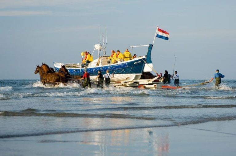 Demonstratie paardenreddingboot - VVV Ameland