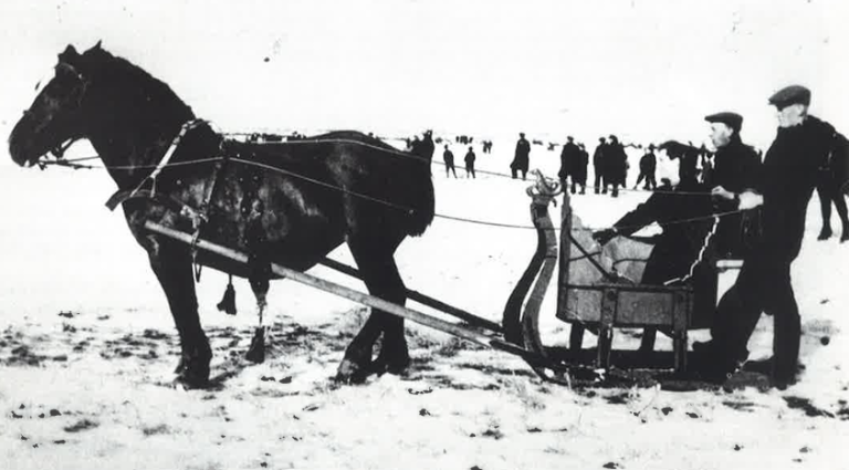 Arrensleerijden op Ameland - VVV Ameland