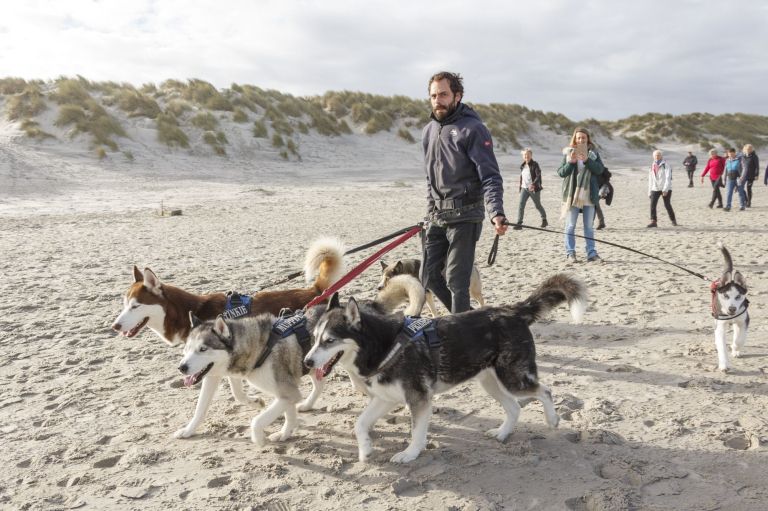 Tussen Slik en Zand - VVV Ameland