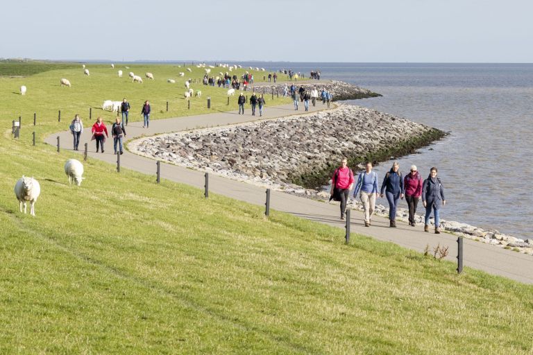 Tussen Slik en Zand - VVV Ameland