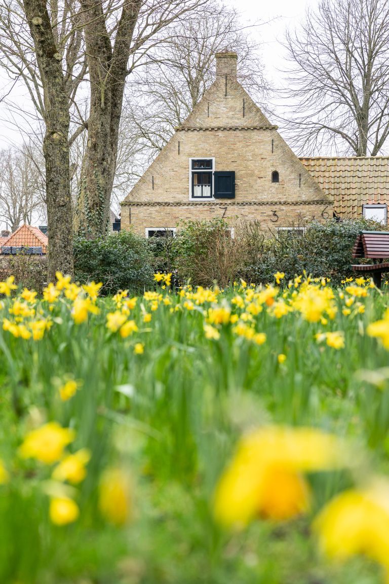 Lente op Ameland: jouw ultieme voorjaarsuitje - VVV Ameland