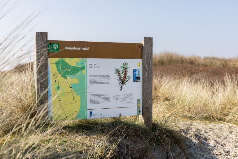 Tijd voor frisse energie? Tijd voor Ameland! - VVV Ameland