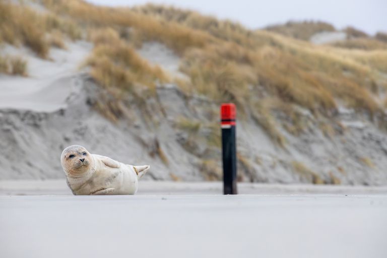 Tijd voor Avontuur? Tijd voor Ameland! - VVV Ameland