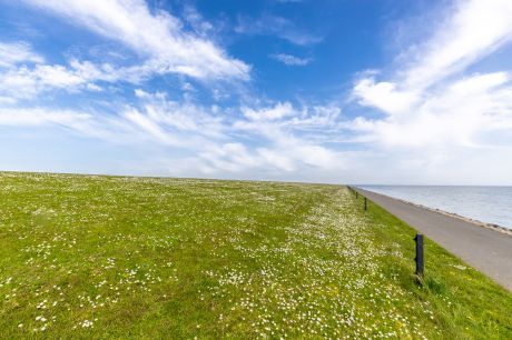 Algemene Voorwaarden Flessenpost & Inzendingen Foto’s - VVV Ameland