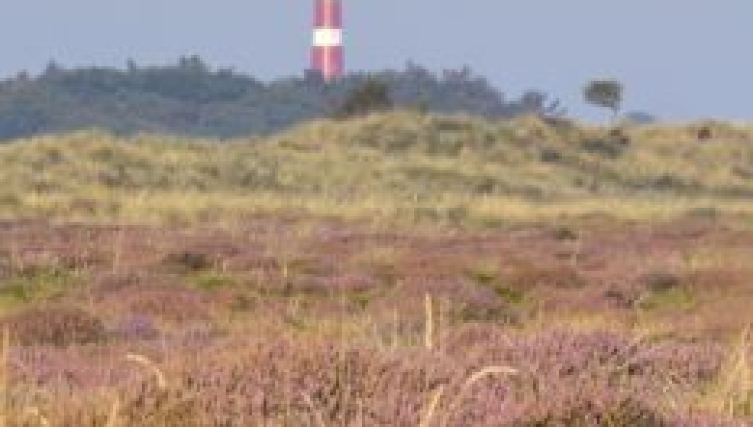 Häufig gestelte Fragen über Öffentliche Dienste auf Ameland - VVV Ameland.