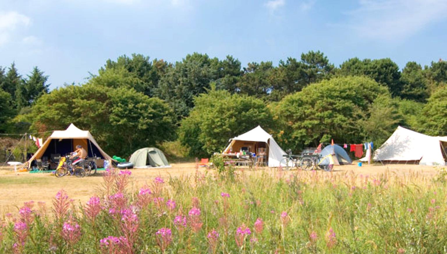 Kamperen op Ameland - VVV Ameland