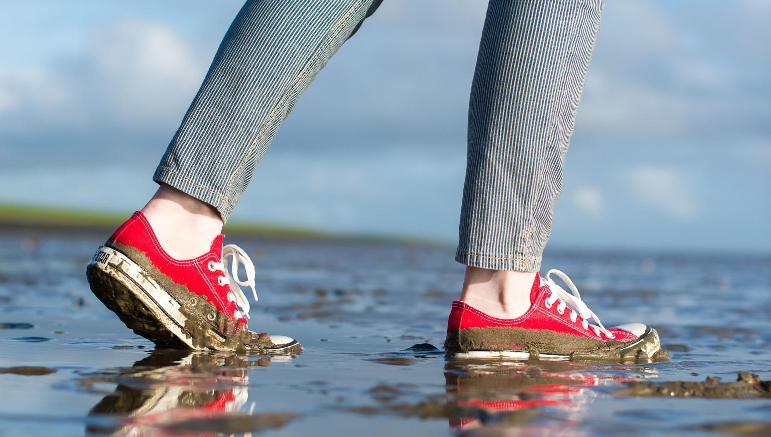 Aktivitäten und Veranstaltungen auf Ameland - VVV Ameland