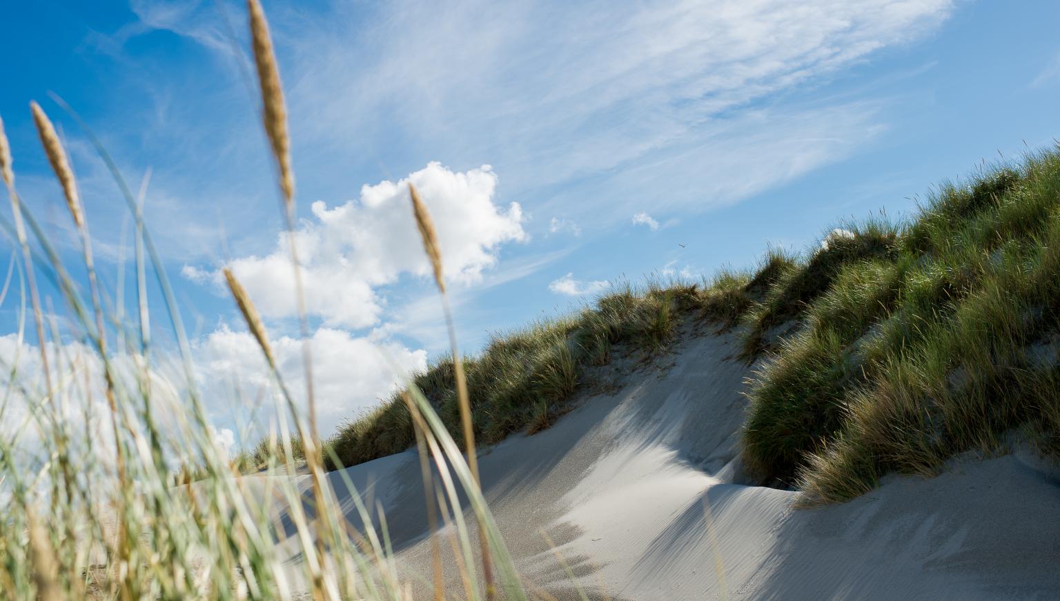 Bekijk onze nieuwsbrieven - VVV Ameland