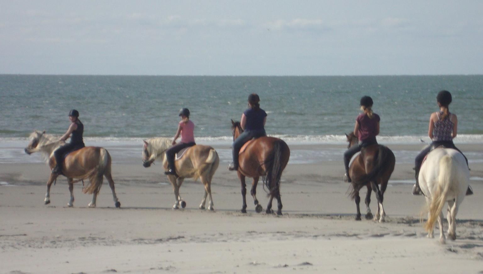 De Hollumer Trap - VVV Ameland