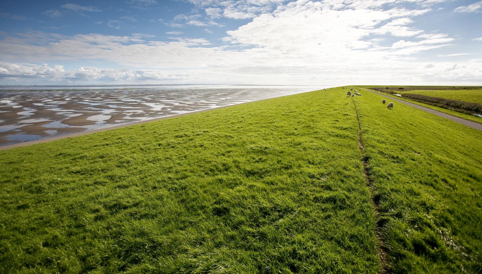 De stormvloed van 1825 - VVV Ameland