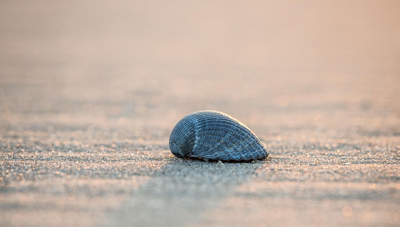 Drogisterij Parfumerie Kienstra - VVV Ameland