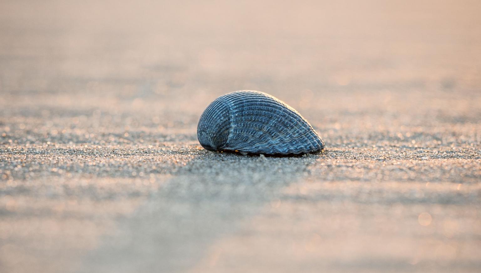 Drogisterij Parfumerie Kienstra - VVV Ameland