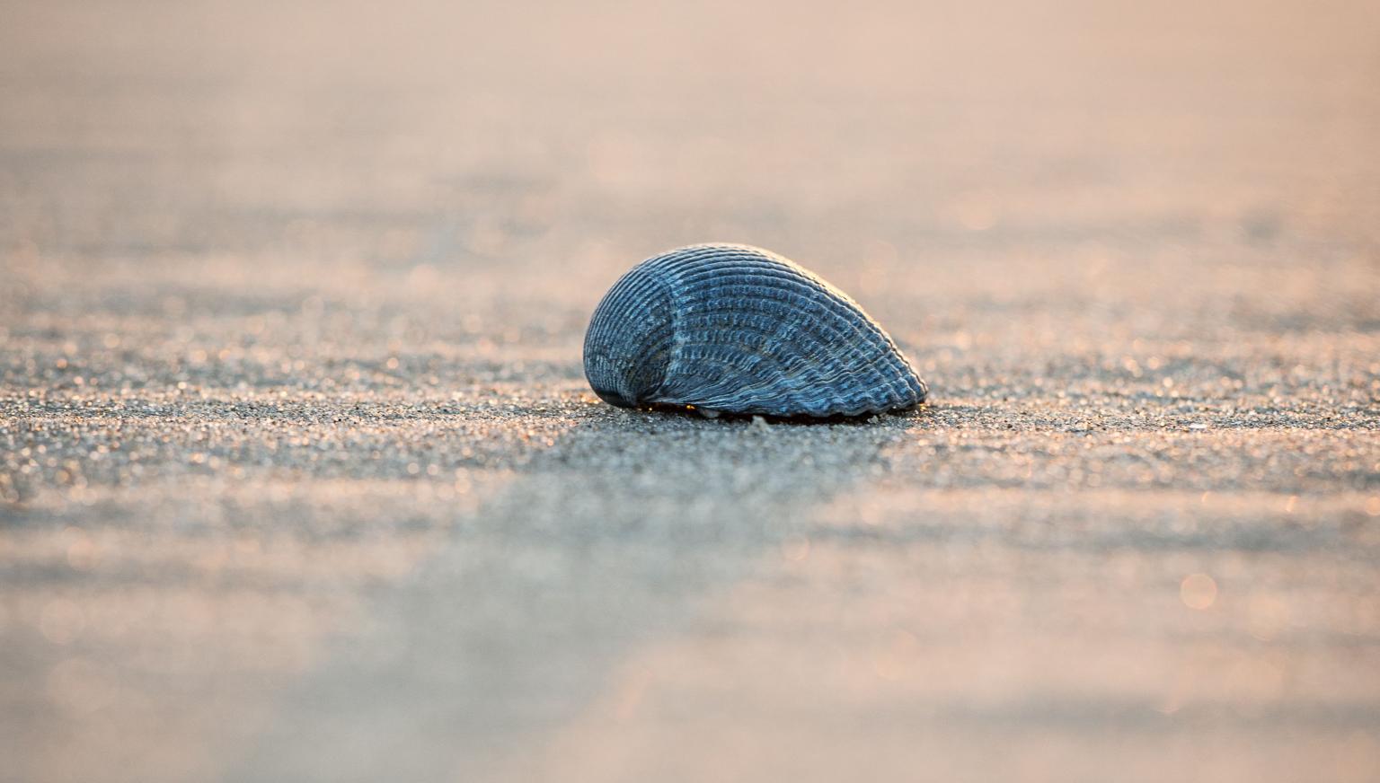 Drogisterij Parfumerie Kienstra - VVV Ameland