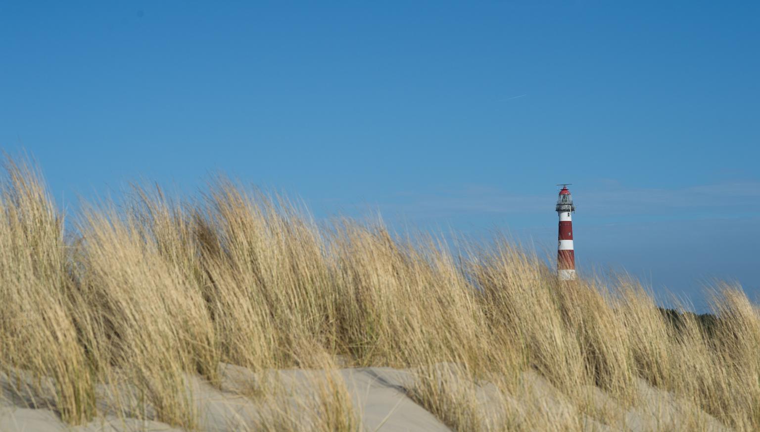 Groepsaccommodaties Hollum - VVV Ameland 