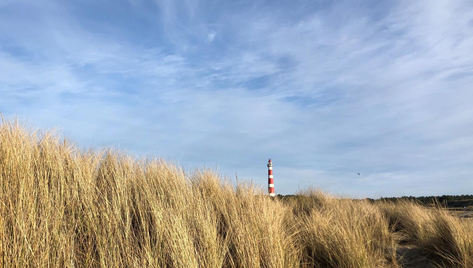 Die Entstehung Amelands - VVV Ameland