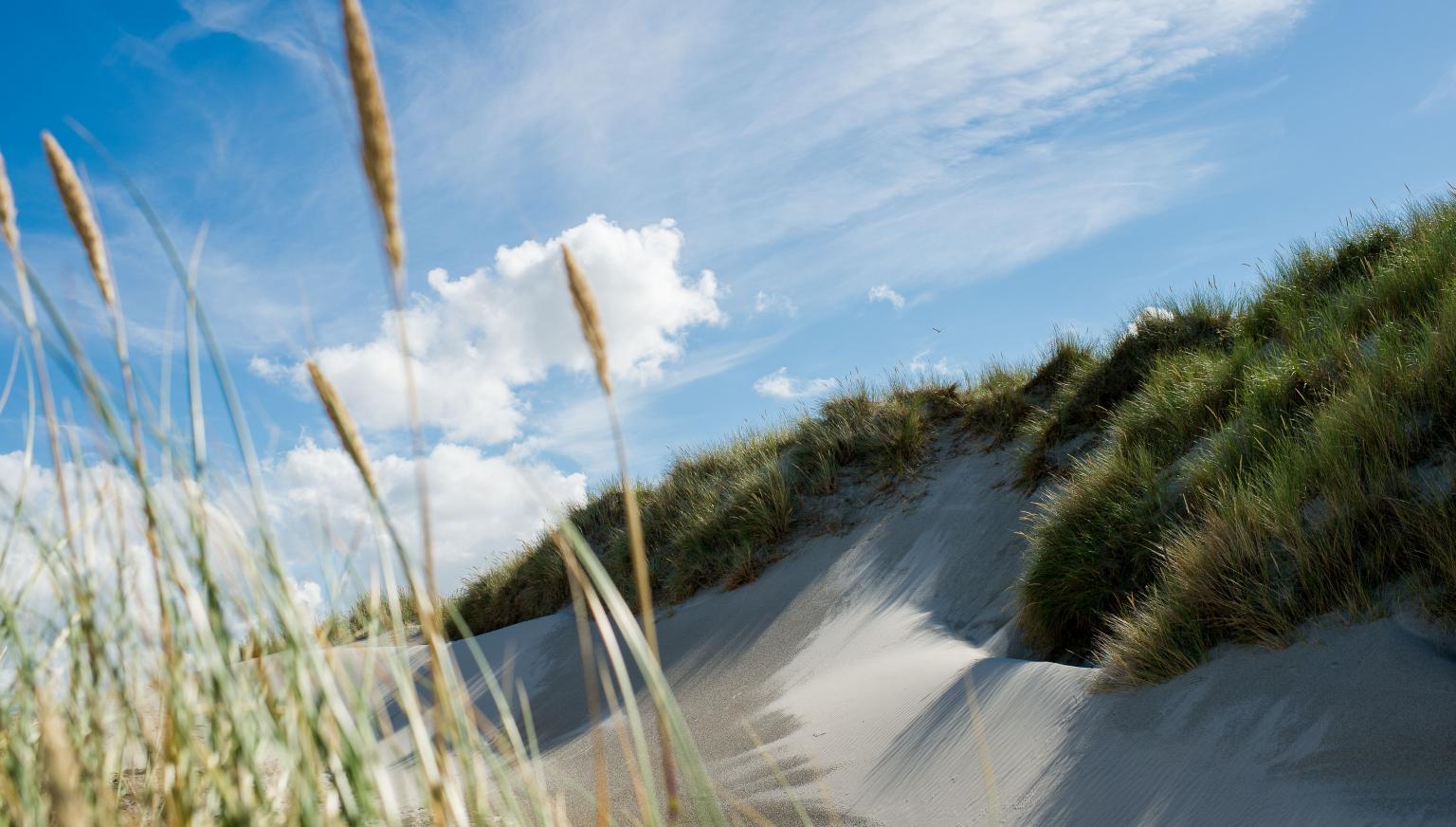 Vakantiehuizen Hollum 5-6 personen - VVV Ameland