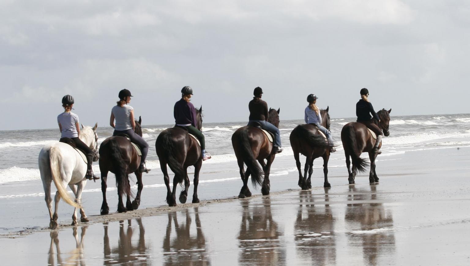 Reitstall 't Jutterspad - VVV Ameland