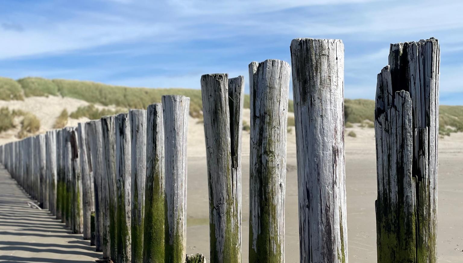 Last-minutes op Ameland - VVV Ameland