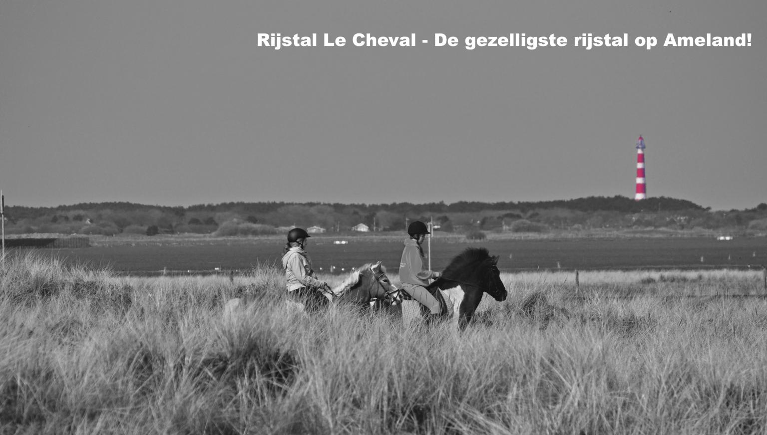 Rijstal Le Cheval - VVV Ameland