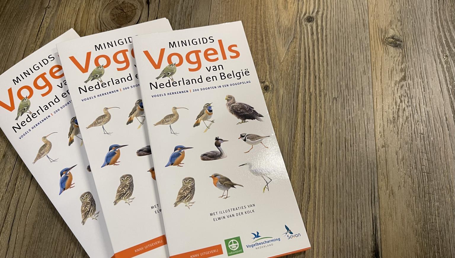 Minigids Vogels van Nederland en België - Webshop VVV Ameland