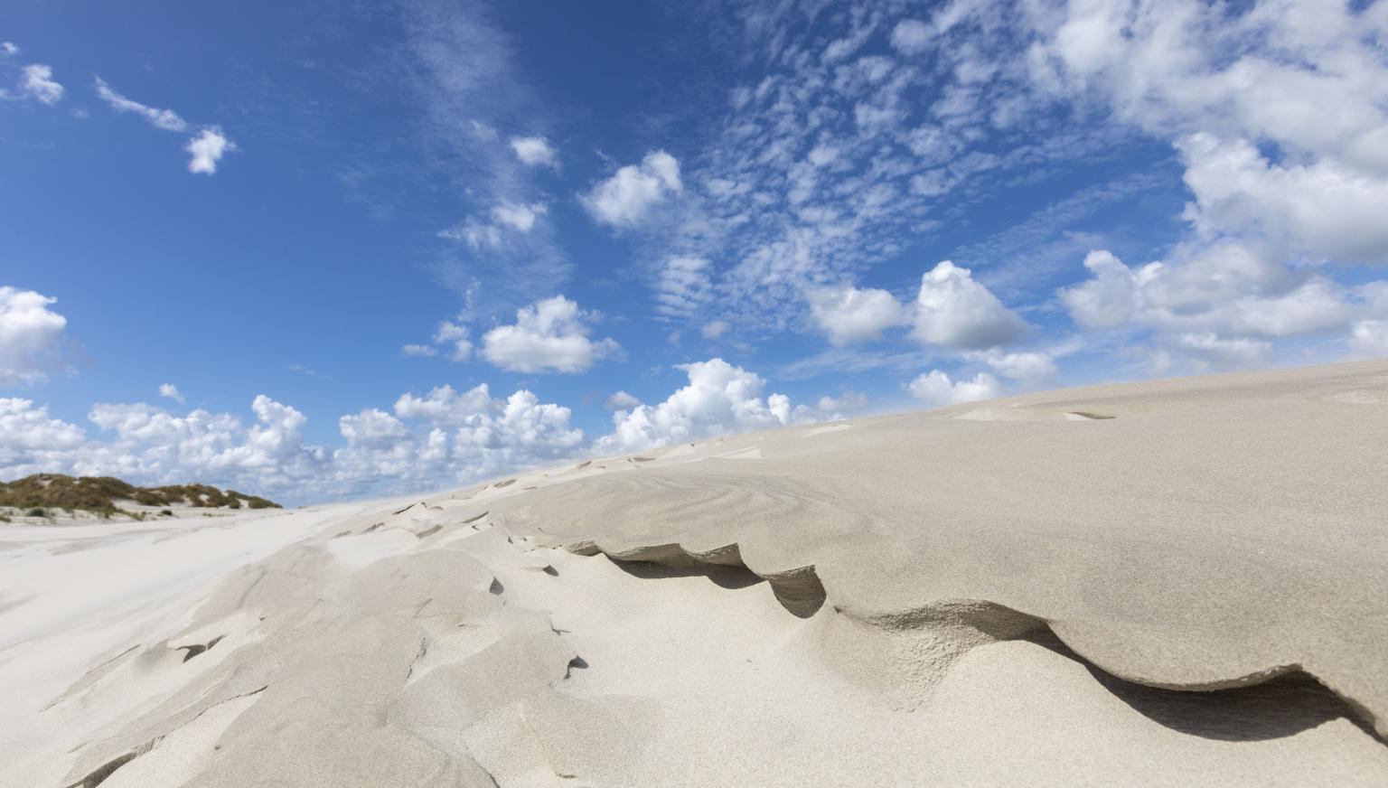 Strand- en schelpenexcursie - VVV Ameland