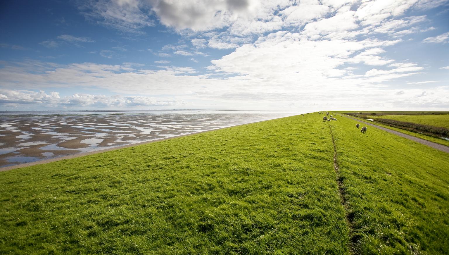 Taxivervoer - VVV Ameland