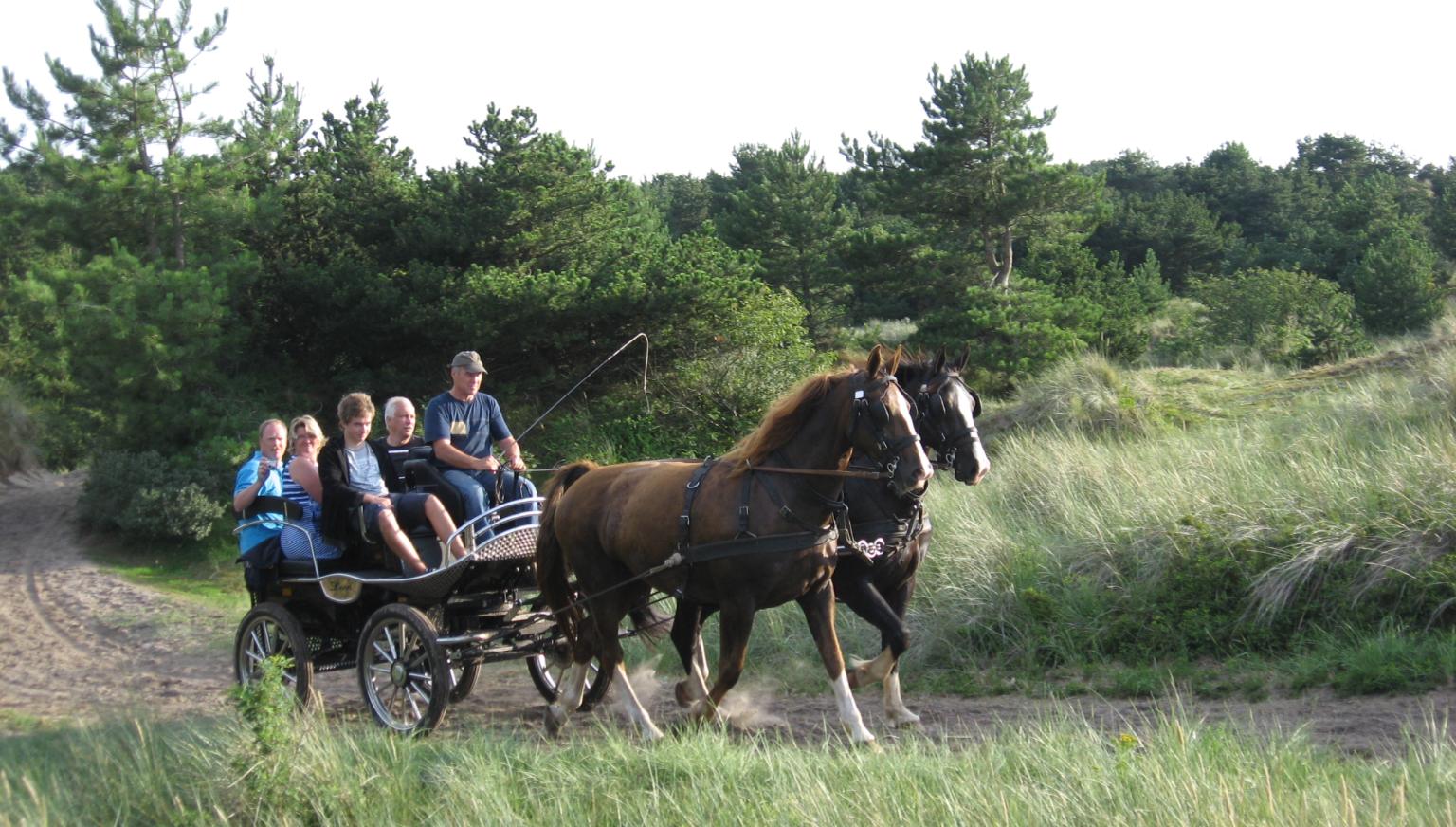 Recreatieritten familie De Boer - VVV Ameland