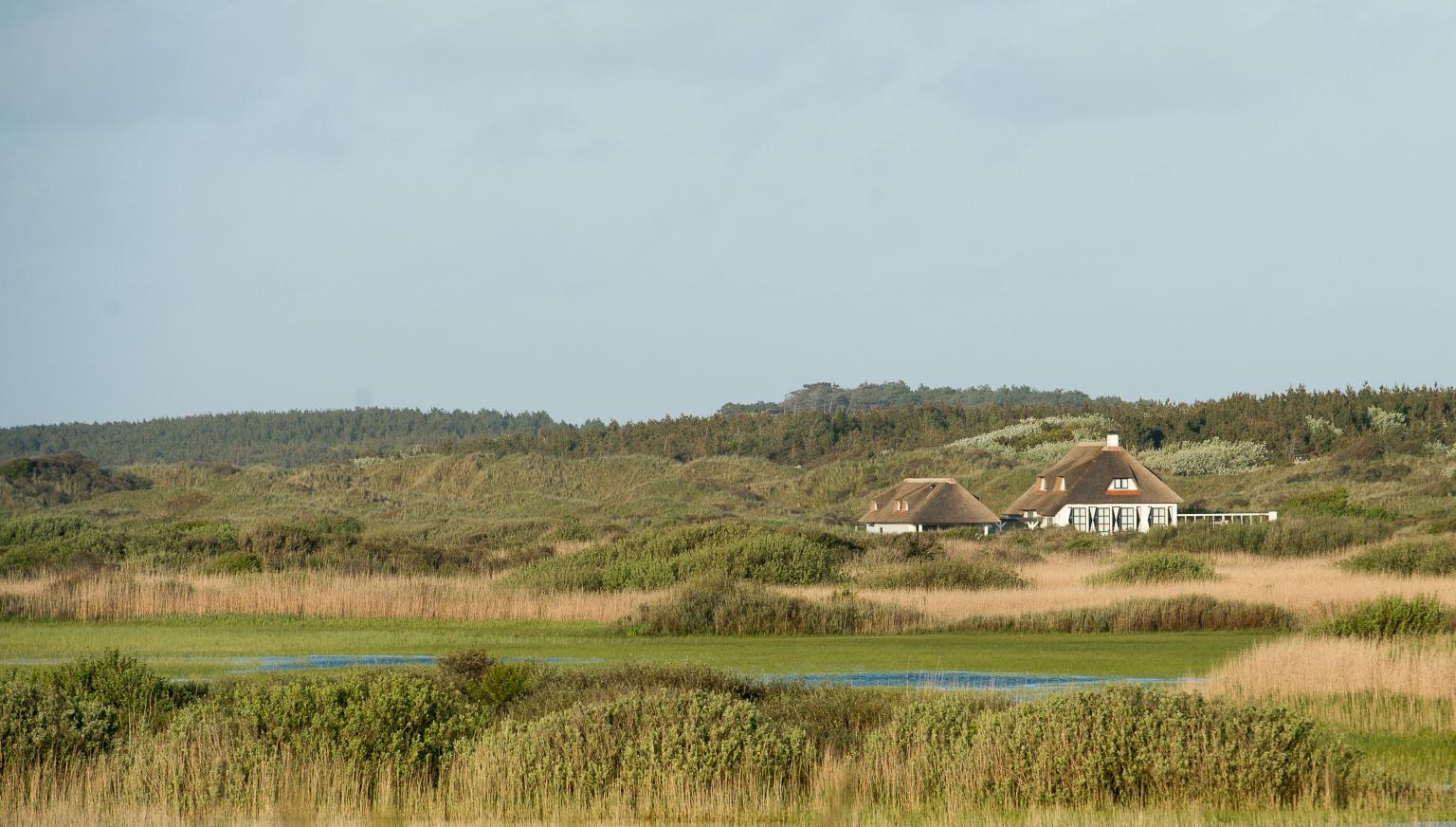 Vakantiehuizen - VVV Ameland