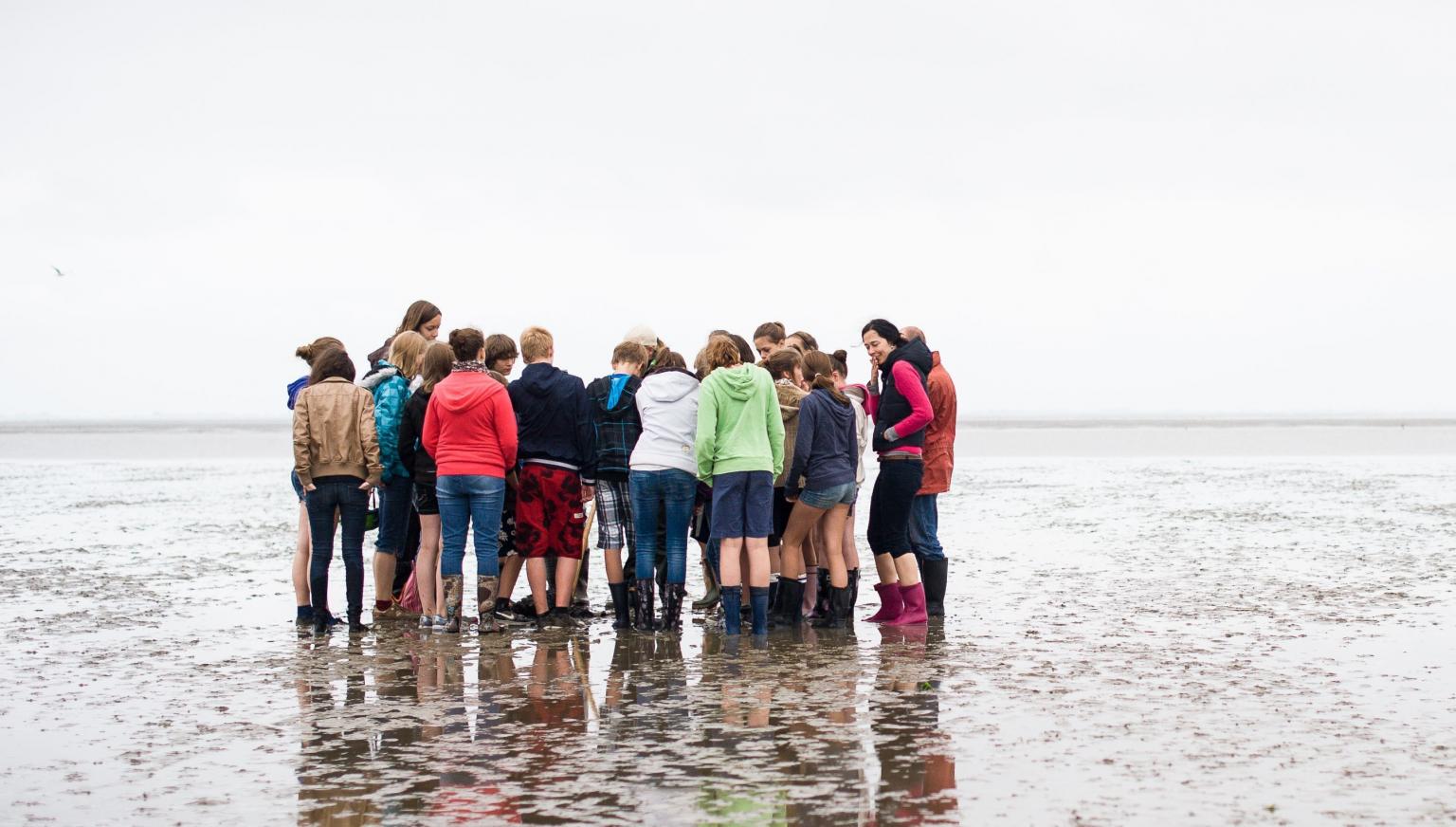 Wattexkursion - VVV Ameland