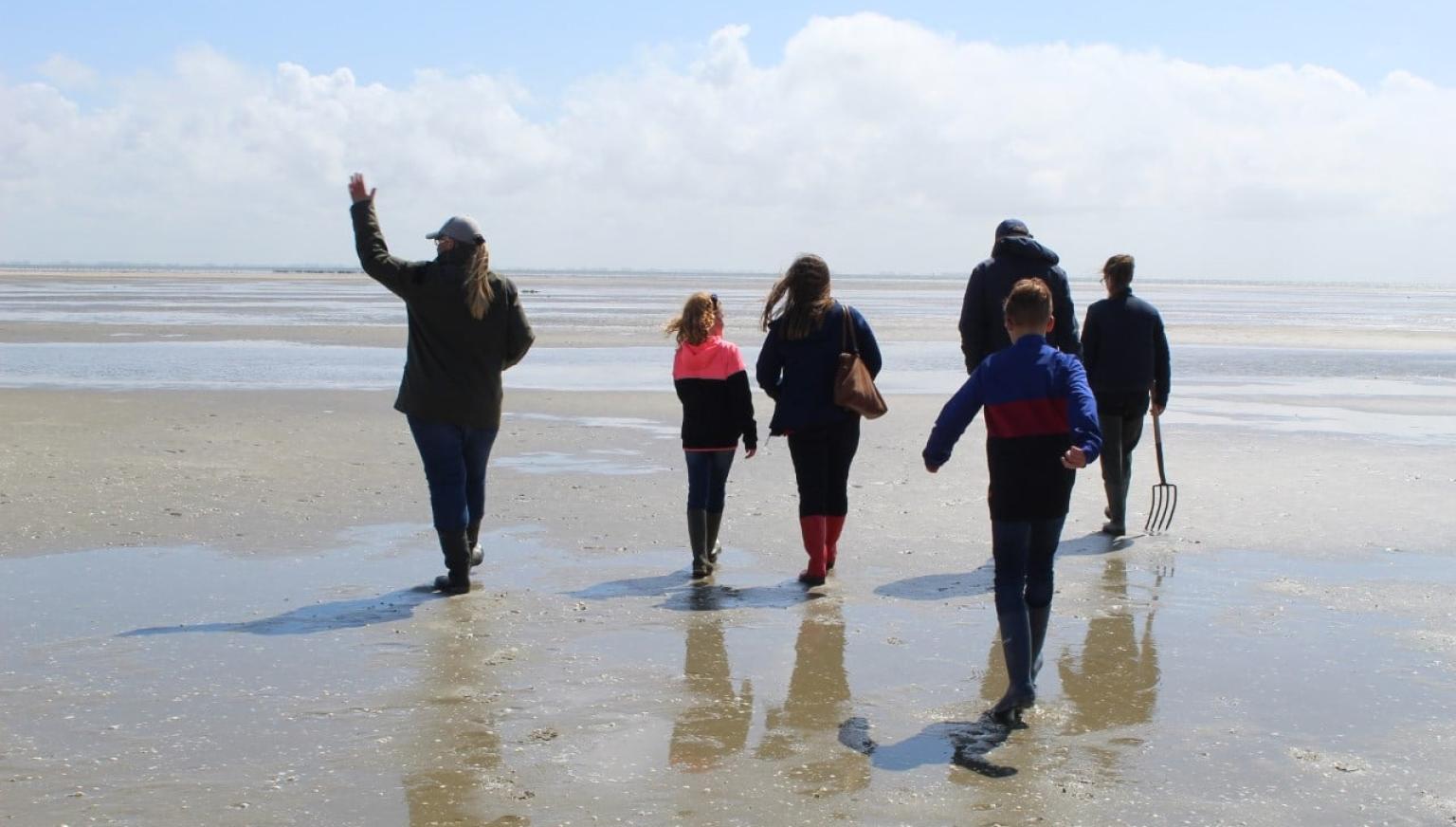 Ausflüge - VVV Ameland