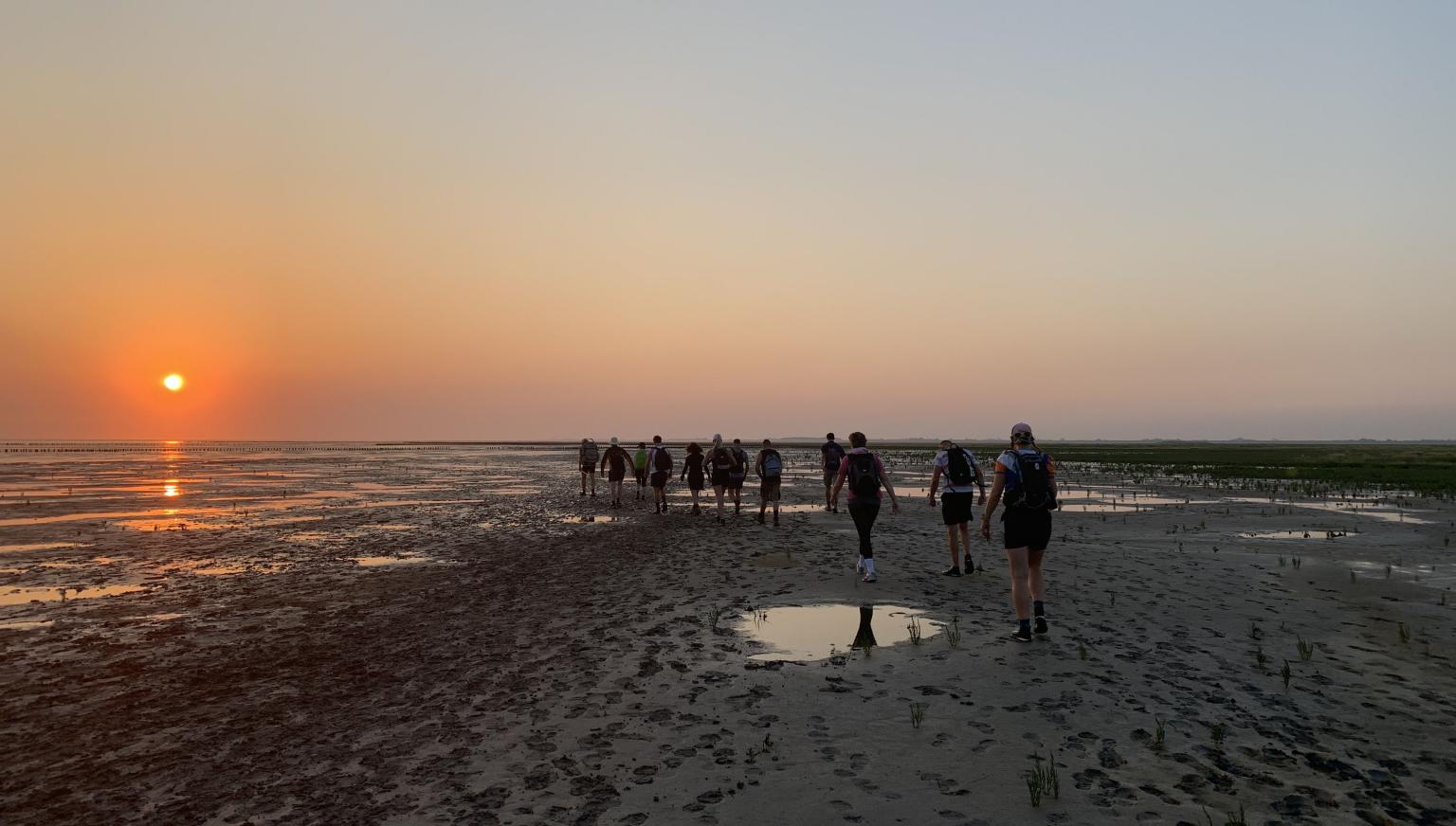 Wattenmeerstreifzug - VVV Ameland